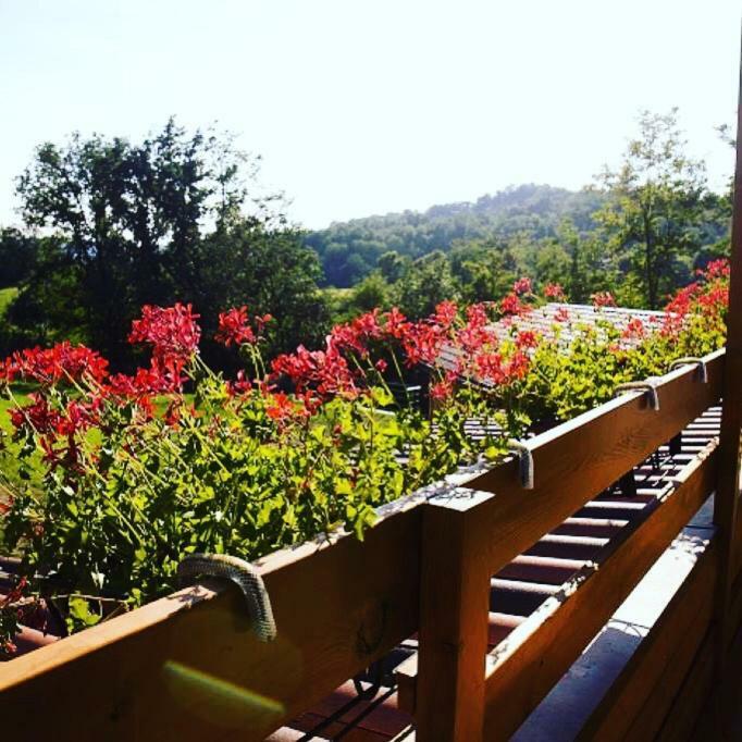 Ca' Del Cuco Bed and Breakfast Barzana Buitenkant foto